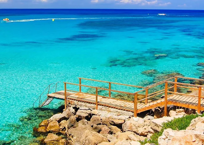 Fig Tree Four Протарас